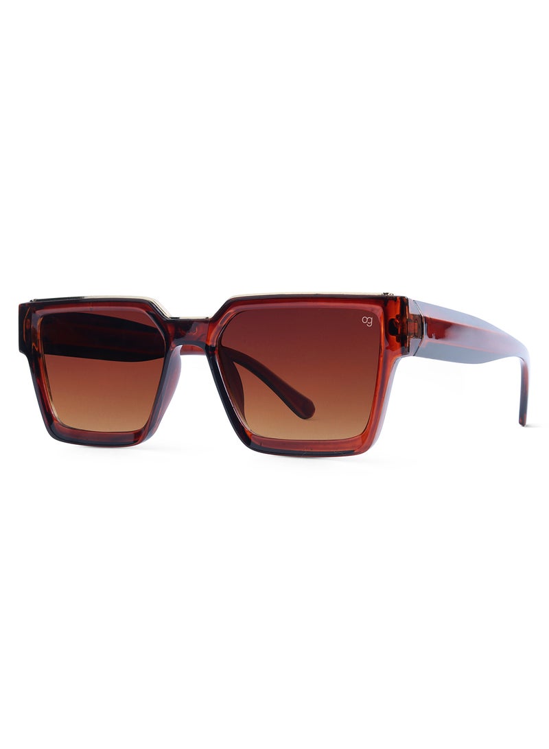 Woggles Brown Polarized Wayfarer Sunglasses  - Image 4