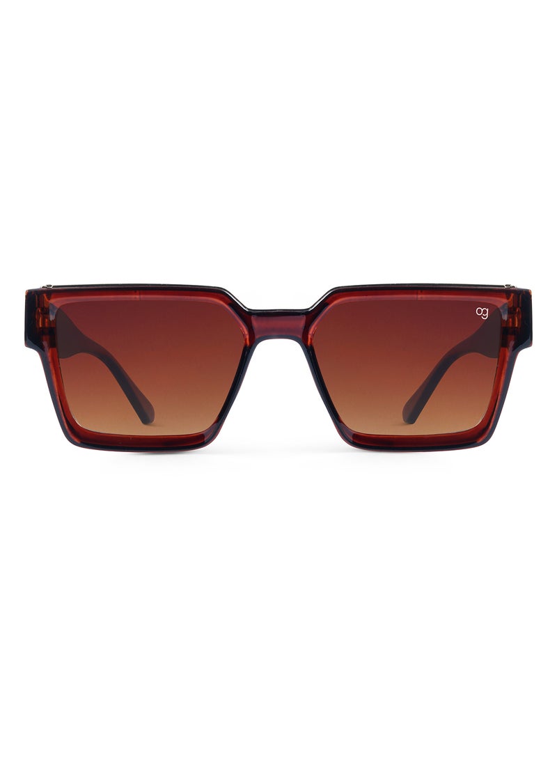 Woggles Brown Polarized Wayfarer Sunglasses  - Image 3