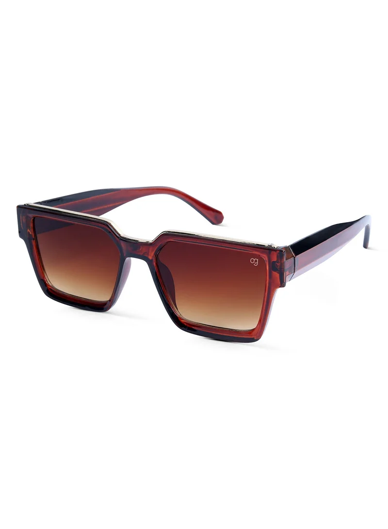Woggles Brown Polarized Wayfarer Sunglasses