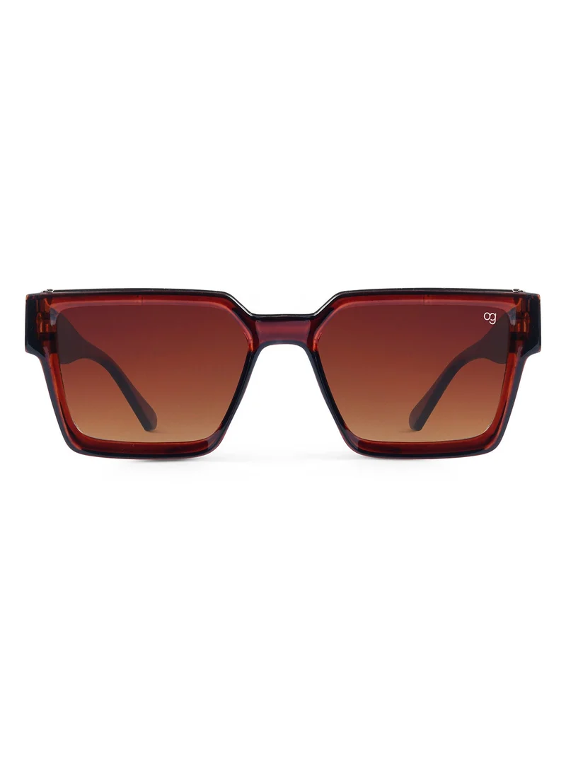 Woggles Brown Polarized Wayfarer Sunglasses