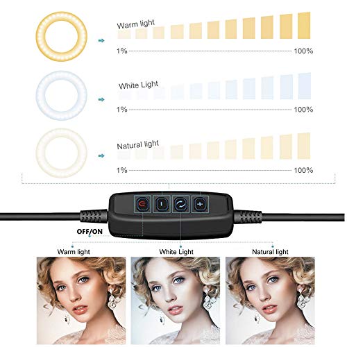 OEBLD Ring Light OEBLD Dimmable with 3 Light Modes & 10 Brightness Level LED Ring Fill Lights for Phone Live Stream Makeup YouTube Shooting(B(only 10'' Ring Light)) - Image 3