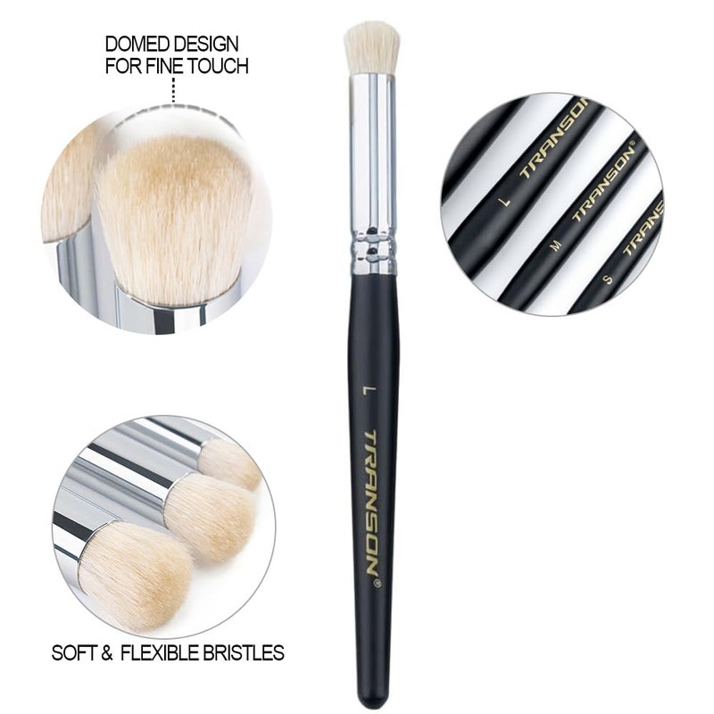 Transon 8pcs Miniature Painting Dry Brush Set with 5 Drybrushes and 3 Small Detail Brushes for Model Making and Miniature Model Painting - Image 5