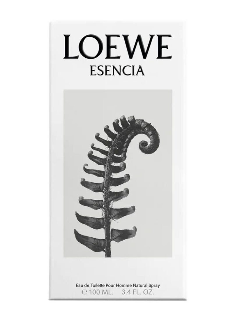 LOEWE Esencia Eau de Toilette 100ml - Image 3