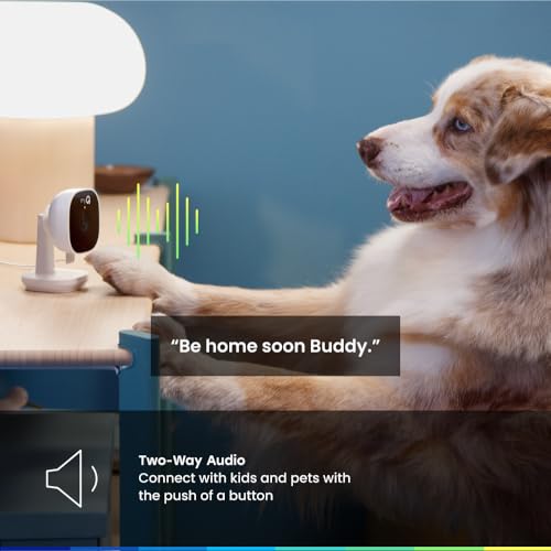 Chamberlain كاميرا الأمن الداخلية الذكية CHAMBERLAIN myQ – فيديو بدقة 1080p HD، رؤية ليلية، كشف الحركة، واي فاي، صوت ثنائي الاتجاه، تحكم عبر الهاتف الذكي - Image 4