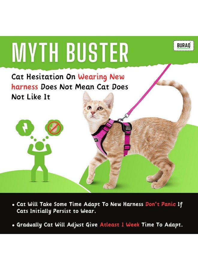 Buraq Pets Escape Proof No Pull Cat Harness with Leash for Outdoor, Walking, Air Mesh Fabric, Easy Control, Adjustable & Durable Cat Leash (M, Black) - Image 5