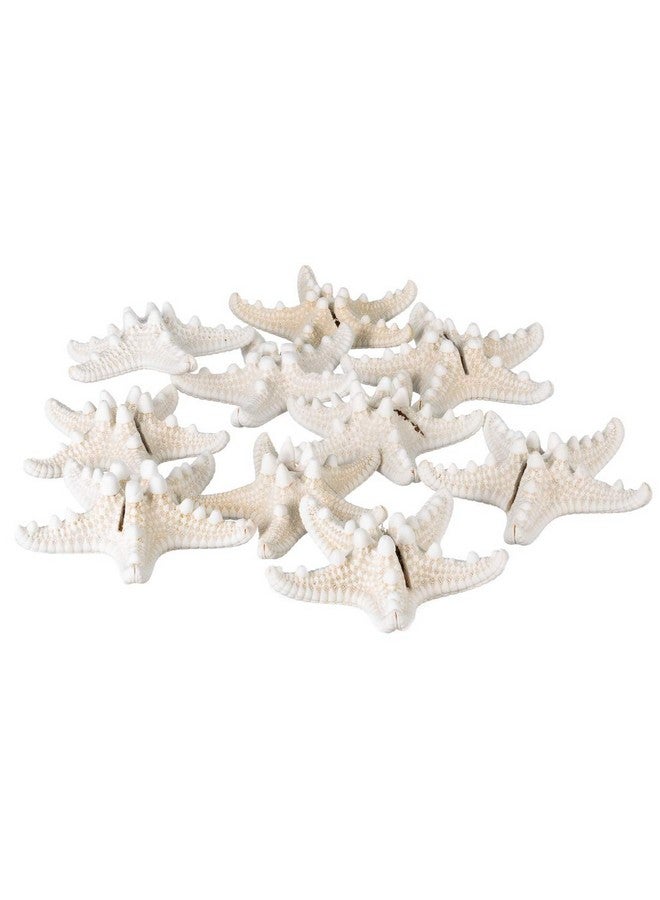 Nautical Crush Trading Real Knobby Starfish Place Card Holder Set | Real Knobby Starfish for Beach Wedding Place Cards | Starfish for Wedding or Event Table Decor | (10 Piece Set) - Image 3