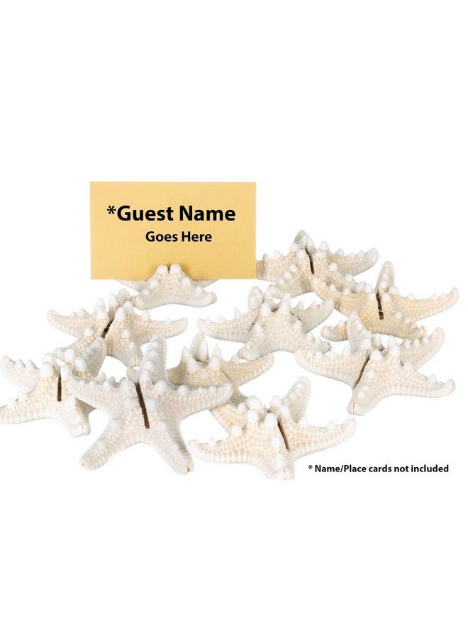 Nautical Crush Trading Real Knobby Starfish Place Card Holder Set | Real Knobby Starfish for Beach Wedding Place Cards | Starfish for Wedding or Event Table Decor | (10 Piece Set) - Image 2