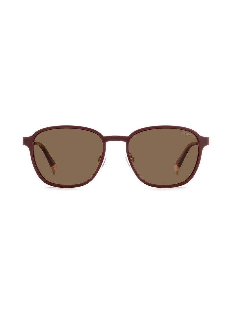 Polaroid - Unisex UV Protection Square Sunglasses - Pld 6205/Cs Gold Brgn 55 - Lens Size: 55 Mm - Image 1