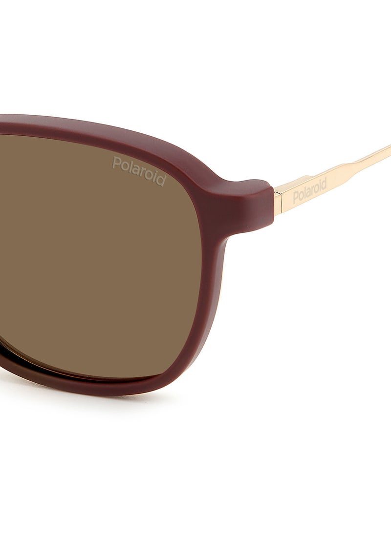 Polaroid - Unisex UV Protection Square Sunglasses - Pld 6205/Cs Gold Brgn 55 - Lens Size: 55 Mm - Image 1