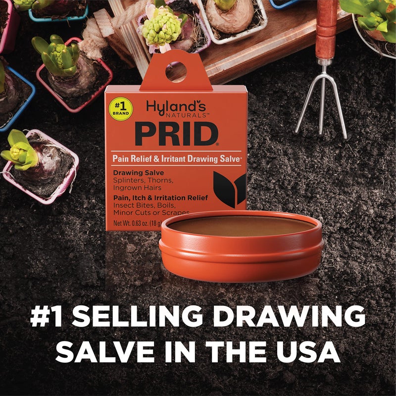 Hyland's PRID Drawing Salve Naturals (2 Pack) - Image 5