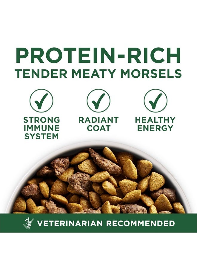 Purina ONE Purina ONE Plus Small Breed Lamb and Rice Formula Dry Dog Food - 3.8 lb. Bag  - Image 2