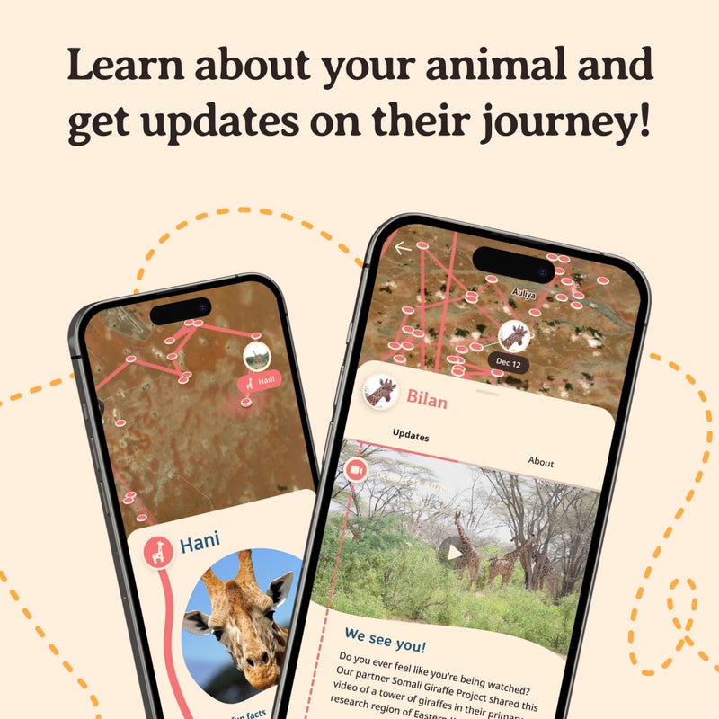 Fahlo Giraffe Tracking Bracelet â€“ Track a Real Giraffeâ€™s Journey â€“ Supports Wildlife Conservation â€“ Elastic, One Size Fits Most â€“ on Interactive Mobile App Map â€“ Unisex Conservation Gift (Kenya Orchid Pink) - Image 5