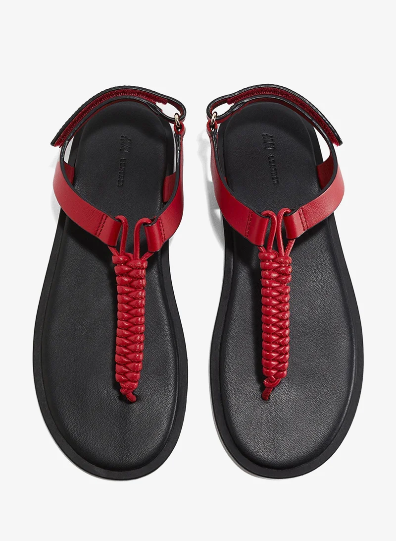 اتش اند ام صندل من الجلد