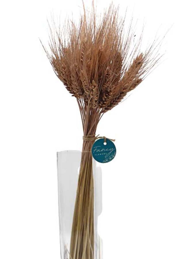 FANCY FLOWERS Natural Dried Wheat Grass Bundle Artificial Wheat Dried Flower (MOKA 100) - Image 2