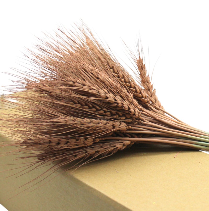 FANCY FLOWERS FANCY Dried Wheat Stems Bundle – Natural Or Painted, Decorative Dried Flowers for Vases & Home Décor - Image 5