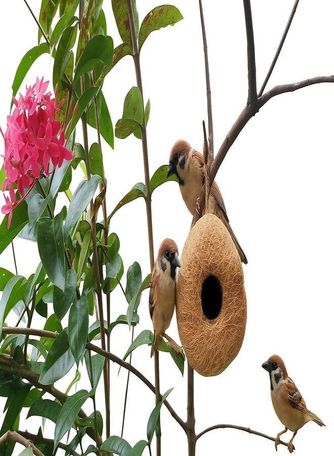عش طيور آمن من AVIANS مصنوع من ألياف جوز الهند الطبيعية، مع لب داخلي وقاعدة متينة، مناسب للعصافير الصغيرة، وطيور الحب، والعصافير المنزلية، والطيور الطنانة. تصميم فريد للشرفات والحدائق، مقاس 19 × 112 سم، مناسب لجميع الطيور الصغيرة. - Image 1