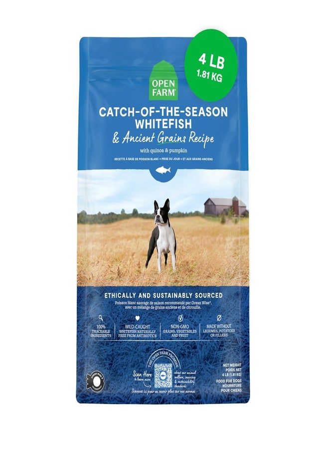 Open Farm أوبن فارم، طعام جاف للكلاب من الحبوب القديمة، غني بالبروتين والعناصر الغذائية، 90% بروتين حيواني ممزوج بفواكه وخضراوات وأطعمة فائقة غير معدلة وراثيًا، بنكهة سمك أبيض موسمي، كيس 4 أرطال - Image 1