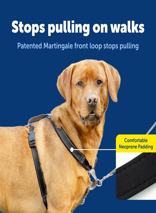 بيت سيف حزام PetSafe 3 في 1 للكلاب الكبيرة - للمشي والتدريب والسفر - يمنع الحيوانات الأليفة من الشد أثناء المشي - حلقة حزام الأمان تُستخدم أيضًا كمقبض سريع الوصول - عاكس للضوء - كبير، أسود - Image 3