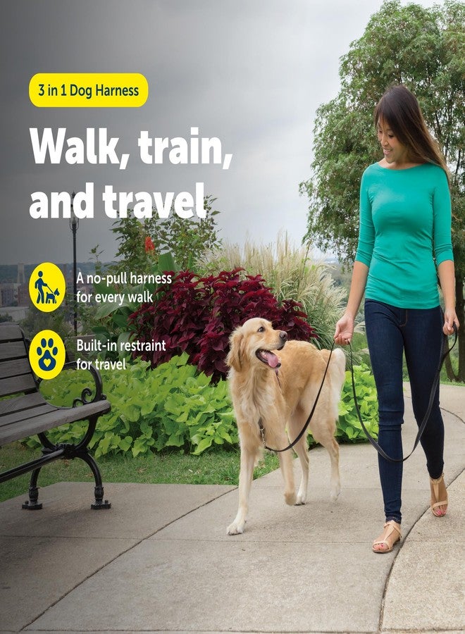 بيت سيف حزام PetSafe 3 في 1 للكلاب الكبيرة - للمشي والتدريب والسفر - يمنع الحيوانات الأليفة من الشد أثناء المشي - حلقة حزام الأمان تُستخدم أيضًا كمقبض سريع الوصول - عاكس للضوء - كبير، أسود - Image 2