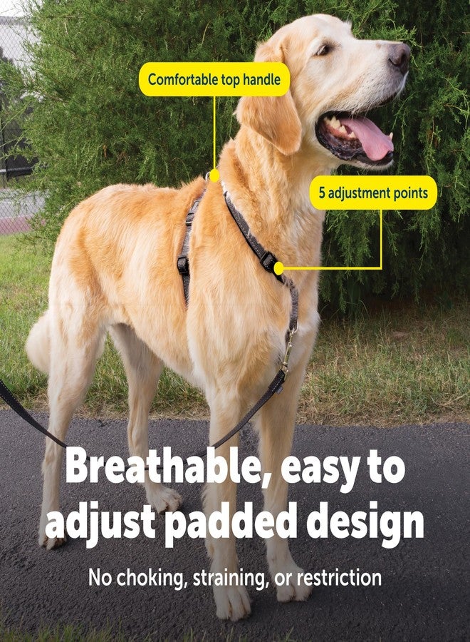 بيت سيف حزام PetSafe 3 في 1 للكلاب الكبيرة - للمشي والتدريب والسفر - يمنع الحيوانات الأليفة من الشد أثناء المشي - حلقة حزام الأمان تُستخدم أيضًا كمقبض سريع الوصول - عاكس للضوء - كبير، أسود - Image 4