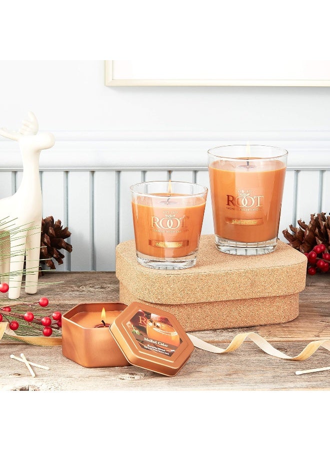 Root Candles Fall Scented Candles Honeycomb Veriglass Premium Handcrafted Beeswax Blend Candle Large Mulled Cider - Image 4