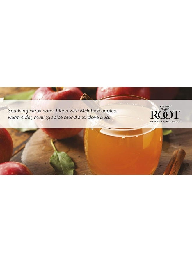 Root Candles Fall Scented Candles Honeycomb Veriglass Premium Handcrafted Beeswax Blend Candle Large Mulled Cider - Image 3