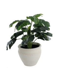 Earthenware Plant Pot White Medium - pzsku/Z79DD8406AF799BB4A910Z/45/_/1687445820/1f64afa4-4e16-484c-96bb-2f0e48c63298