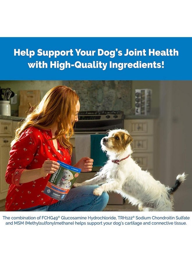 COSEQUIN - Msm Joint Health Supplement For Dogs  180 Chewable Tablets - Image 1