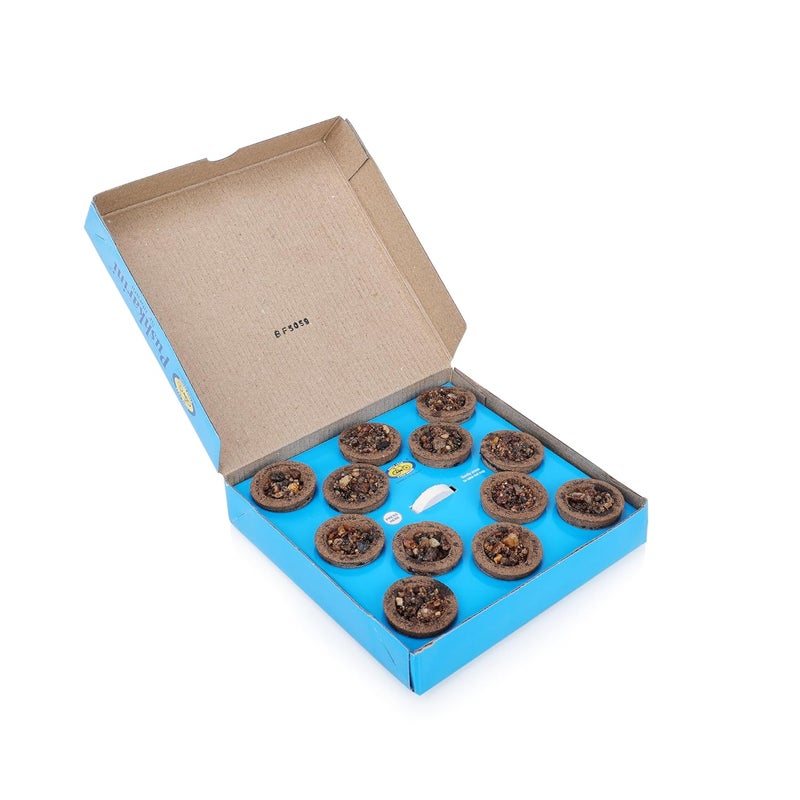 Cycle Pure Pushkarini Sambrani Dhoop Cups for Pooja 48 pcs Havan Cups for Pooja Home Festivals GuggalLoban Dhoop Original Flowers Fragrance Pack of 4 12 Cupspack 1 burner platepack - Image 4