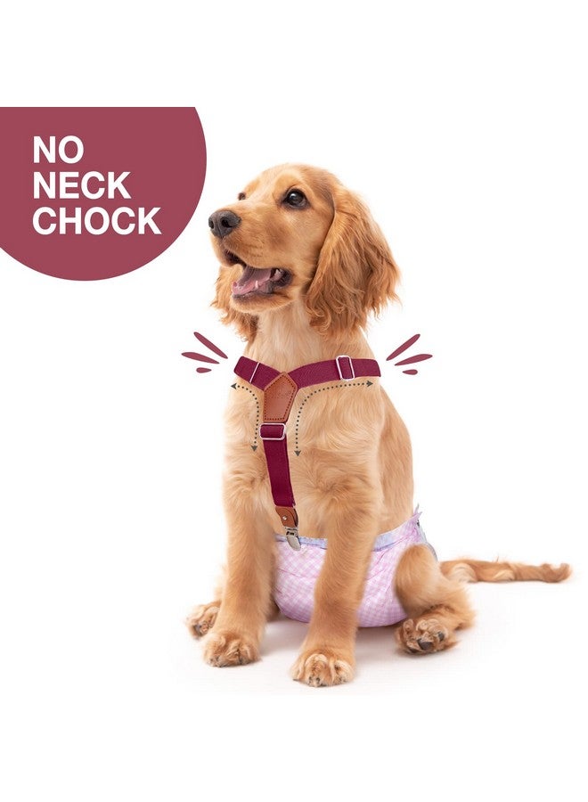 Pet Soft Dog Suspenders 2 Pieces Female Dog Diaper Suspenders for Dogs Diaper Keeper Suspender for Dog Skirt, Dog Dress (Brown & Burgundy, XS/S) - Image 2