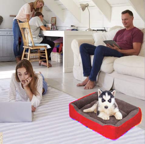 KOZI PET Dog Beds for Dog & Cats, Rectangle Pet Bed Thickened Enough with Soft Coral Fleece and,Durable Dog Sofa Pet Bed - Image 3