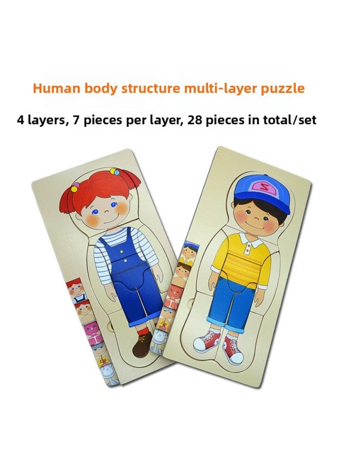 Boys' And Girls' Body Structure Puzzle Young Children's Wooden Toys Human Organ Cognition Early Education Multilayer Puzzle-Color:MT Boys Multilayer Puzzle - Image 2