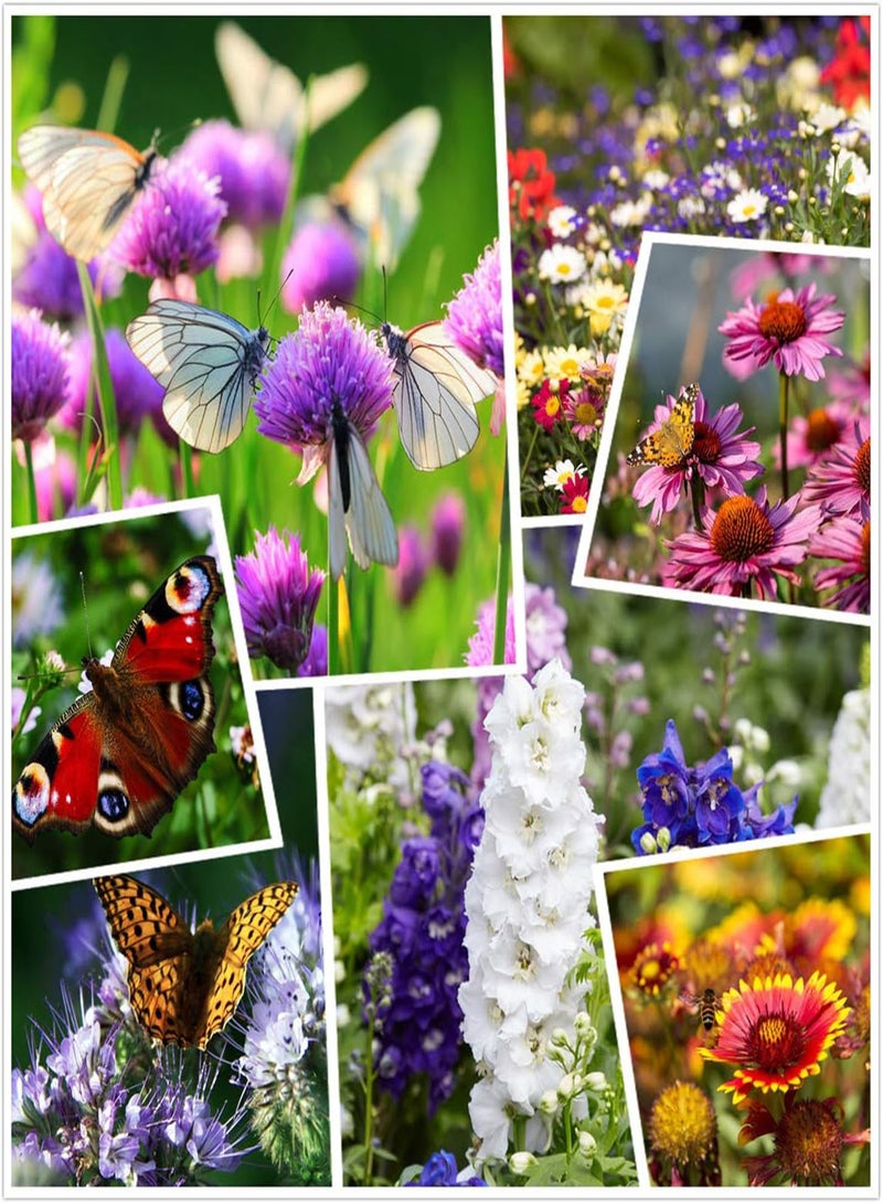 GGOOT Wildflower Seeds, Perennial Annual Wild Flower Seeds Mixed for Planting (2 Ounces 50+ Seeds)  - Image 1