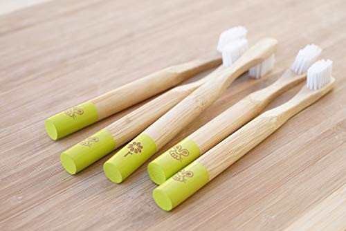 Rain Organic Bamboo Baby Toothbrush - 100% Safe Infant Toddler Kids Toothbrush 6 to 12 Months and Up, Natural BPA-Free Biodegradable Wood Toothbrush Extra Soft Bristles Children's Dental Care (1 Pack) - Image 5