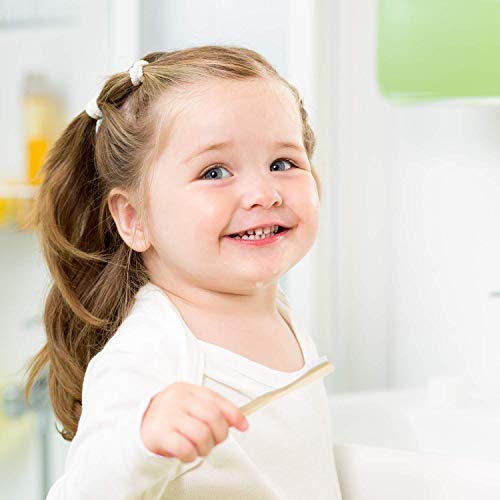 Rain Organic Bamboo Baby Toothbrush - 100% Safe Infant Toddler Kids Toothbrush 6 to 12 Months and Up, Natural BPA-Free Biodegradable Wood Toothbrush Extra Soft Bristles Children's Dental Care (1 Pack) - Image 4