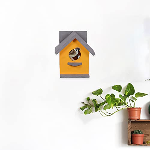 Cket Bird House for Balcony and Garden Hanging for Sparrow, Hummingbird, Kingfisher Bird Nest for Balcony Made with Water Resistant Wooden with Hanging and Wall Patch (Wooden-Yellow) (Pack of 4) - Image 2