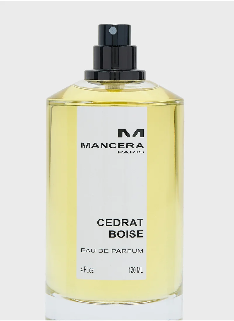 Mancera Golden Edition Cedrat Boise Edp 120Ml