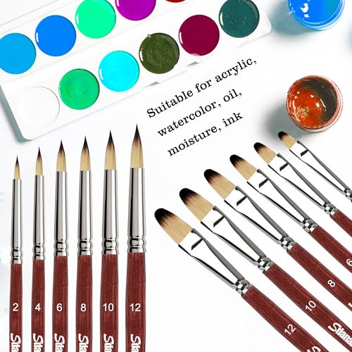 Sdanart 12 pcs Acrylic Paint Brushes Set,6 Professional Round Pointed Tip Paintbrushes and 6 Filbert Artist Paintbrush for Watercolor,Acrylics,Oil,Gouache,Ink，Perfect for Artists and Beginners - Image 2