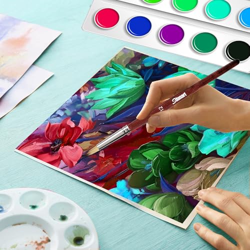 Sdanart 12 pcs Acrylic Paint Brushes Set,6 Professional Round Pointed Tip Paintbrushes and 6 Filbert Artist Paintbrush for Watercolor,Acrylics,Oil,Gouache,Ink，Perfect for Artists and Beginners - Image 3