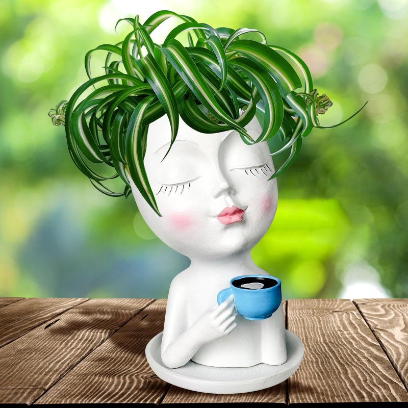 Toparad Face Flower Pot Head Planter for Indoor Outdoor, Unique Succulent Planter with Drainage Hole, Cute Lady Face Plant Pots Coffee Table Decor Gift IdeaI for Mother and Appreciation Christma - Image 1
