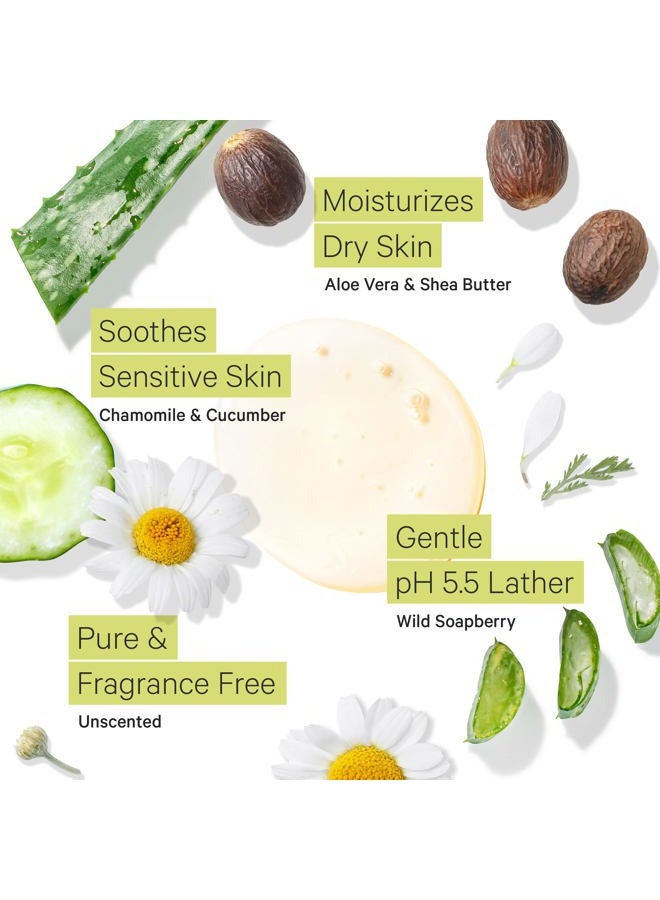 Tree to Tub غسول الجسم اللطيف للغاية للبشرة الحساسة - غسول متوازن pH 5.5 برائحة للجنسين مع توت الصابون والألوة فيرا 8.5 أونصة (عبوتان) - Image 3