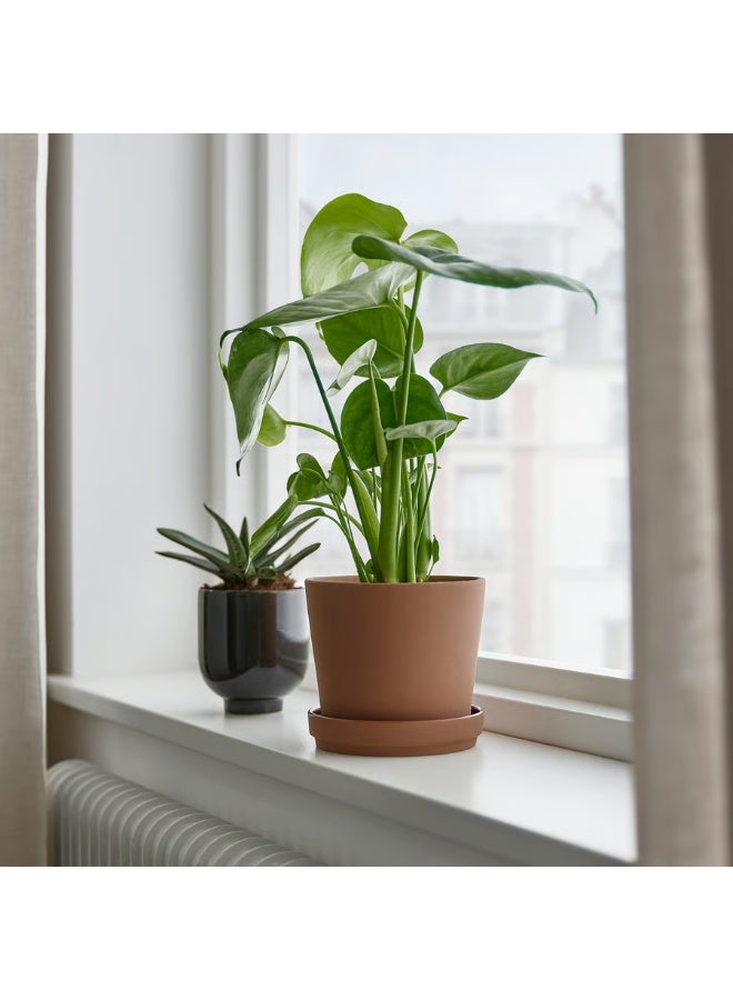 Brown Plant Pot with Saucer – Indoor & Outdoor Decorative Flower Pot, Durable and Stylish, 12 cm Diameter - Image 4