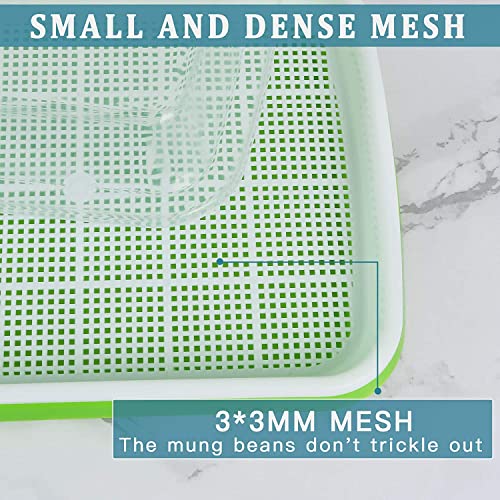 KAHEIGN 6pcs Seeds Sprout Trays for Sprouts 32cm x 26cm Sprouts with Lid Germination Tray for Large Seeds Germination Tray for Grow Mish Beans Clover Wheat Grass - Image 3