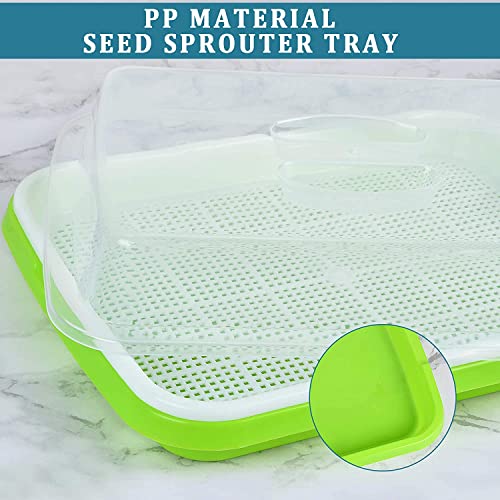 KAHEIGN 6pcs Seeds Sprout Trays for Sprouts 32cm x 26cm Sprouts with Lid Germination Tray for Large Seeds Germination Tray for Grow Mish Beans Clover Wheat Grass - Image 2