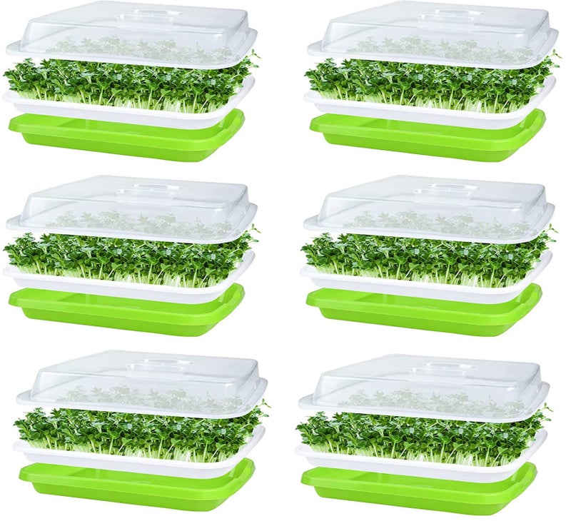 KAHEIGN 6pcs Seeds Sprout Trays for Sprouts 32cm x 26cm Sprouts with Lid Germination Tray for Large Seeds Germination Tray for Grow Mish Beans Clover Wheat Grass - Image 1