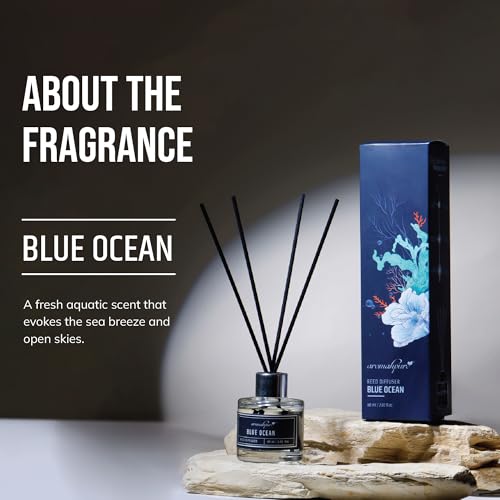 Aromahpure Premium Reed Diffuser Set - Aqua | 60 ML with 4 Fiber Reed Sticks Long Lasting Upto 35 Days | Room Freshener for Bedroom, Washroom, Office | Toxin Free, Aromatherapy, Stress Relief - Image 2
