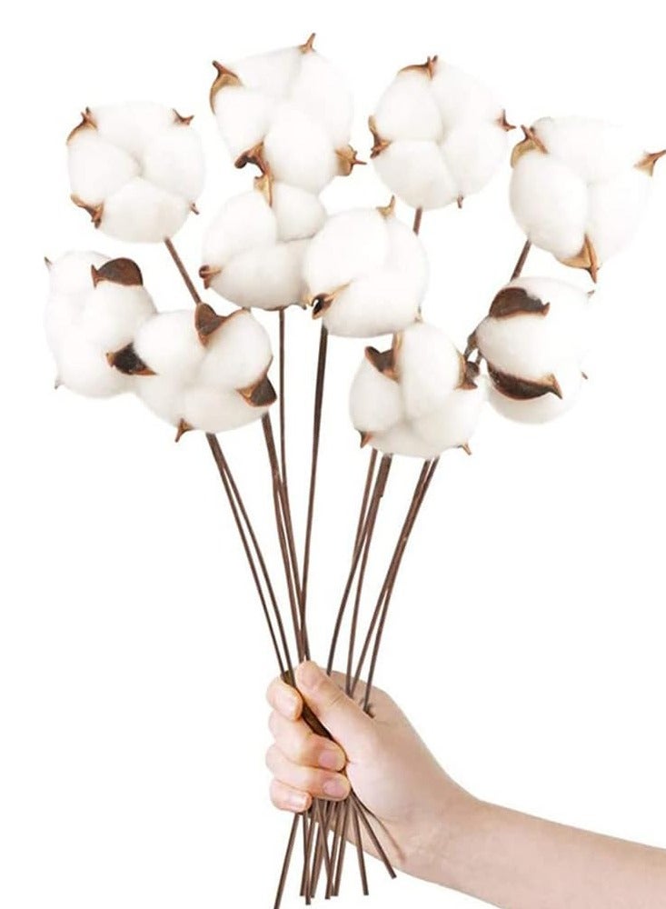 SYOSI 10-Pack Natural Dried Cotton Stems - Rustic Cotton Decor for Vase Fillers, Home and Wedding Decorations - Image 1