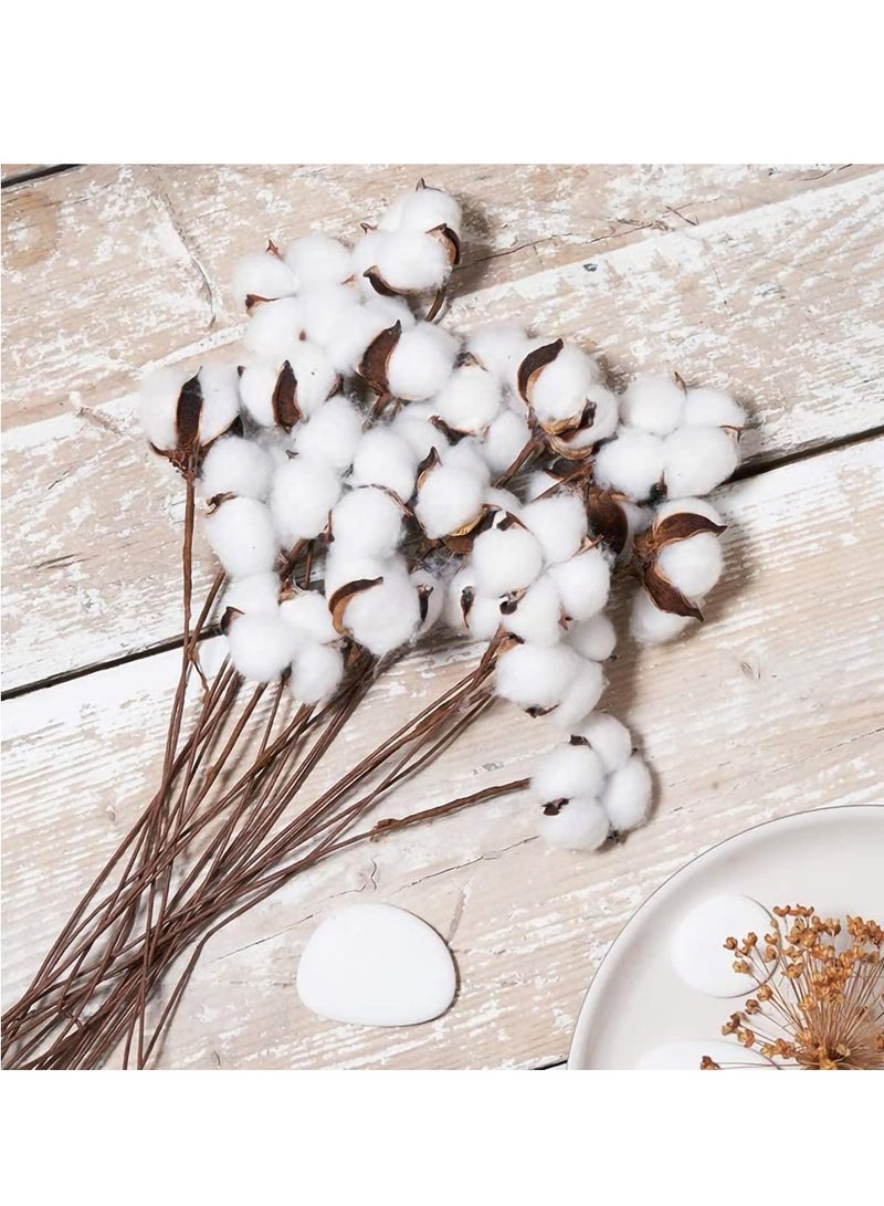 SYOSI 10-Pack Natural Dried Cotton Stems - Rustic Cotton Decor for Vase Fillers, Home and Wedding Decorations - Image 5