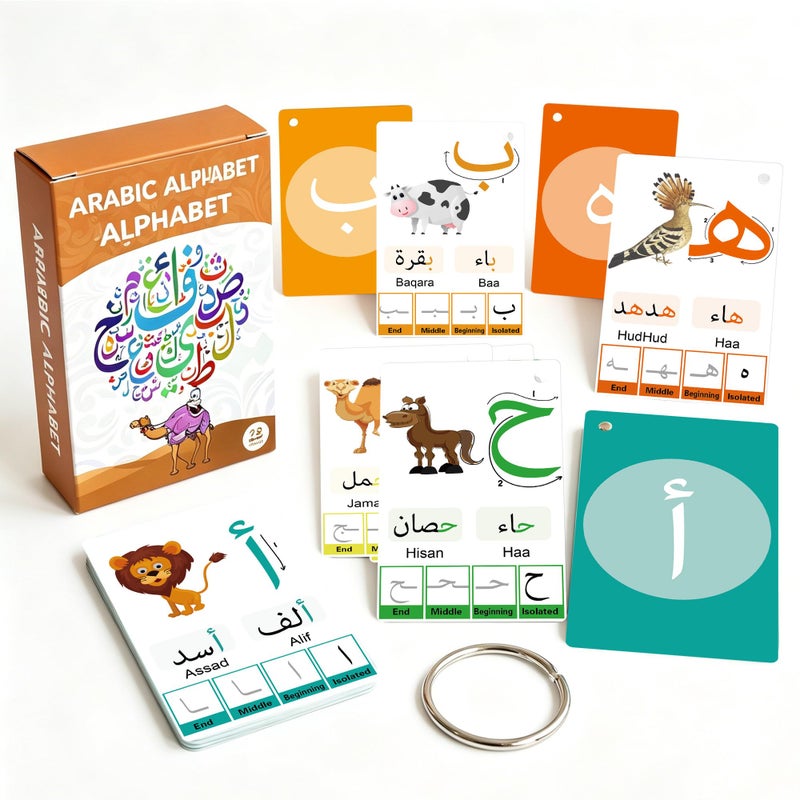 YIYDONG Arabic Flash Cards for Beginners Learn Arabic Alphabet for Kids Teens and Adults Educational Language Learning Resource for Grade School Classroom Homeschool Supplies - Image 3