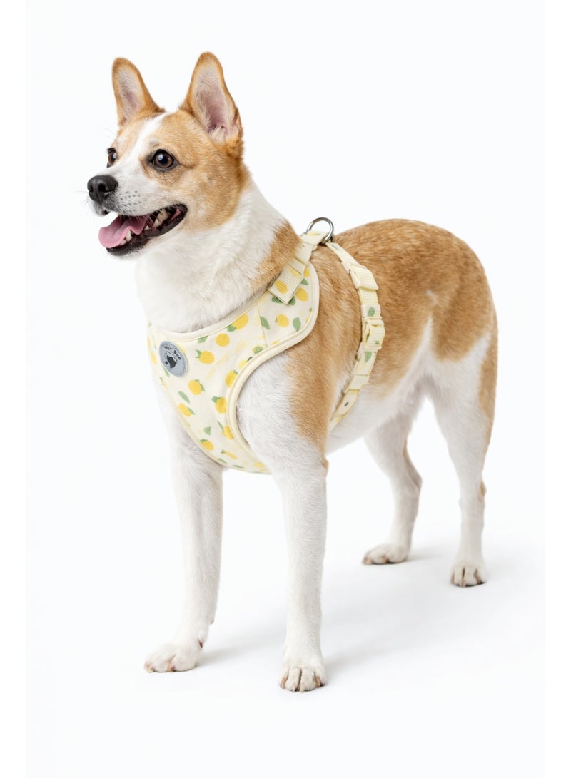 Pet Harness for Dogs and Cats up to 15 kg, Yellow with Adjustable Straps - Image 2